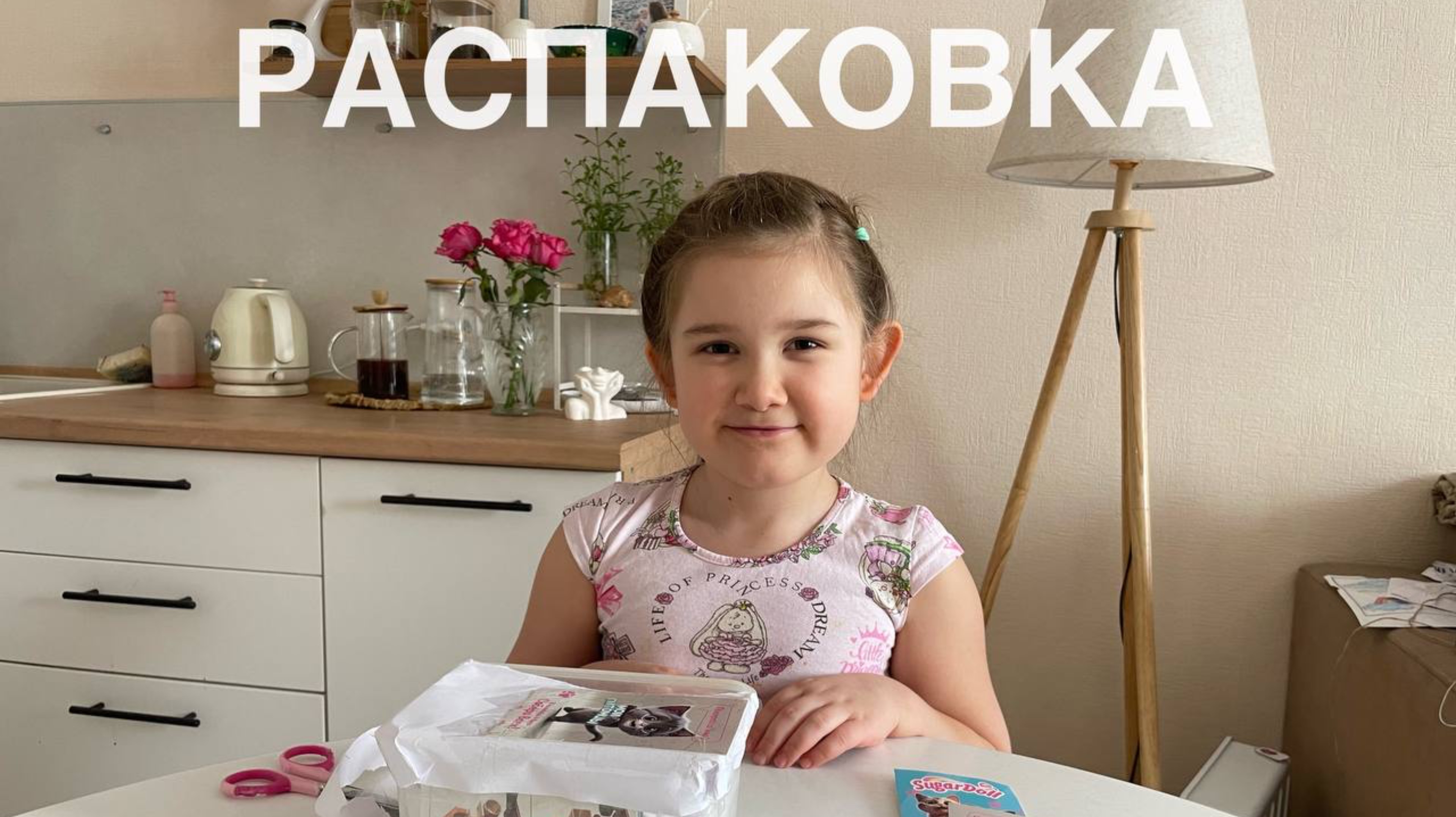 Распаковка «Домик для кошек»