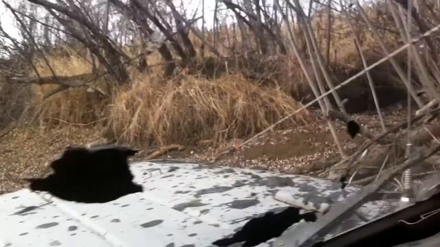 на тропе Викинга