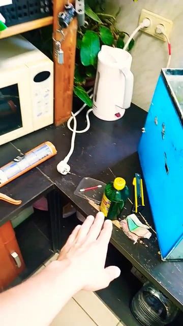 Что нужно для ремонта аквариума своими руками? #лайфхаки #aquarium #аквариум #guppy #betta