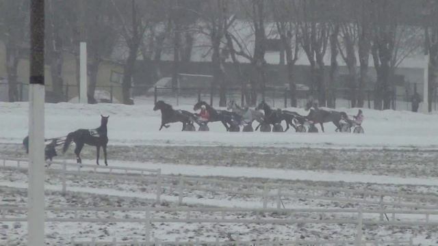 Московский ипподром. Бега. 12.01.14. Заезд 5(17)