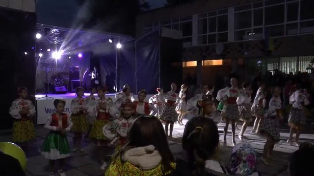Дмитрівка-2016_День села_Моя Україна