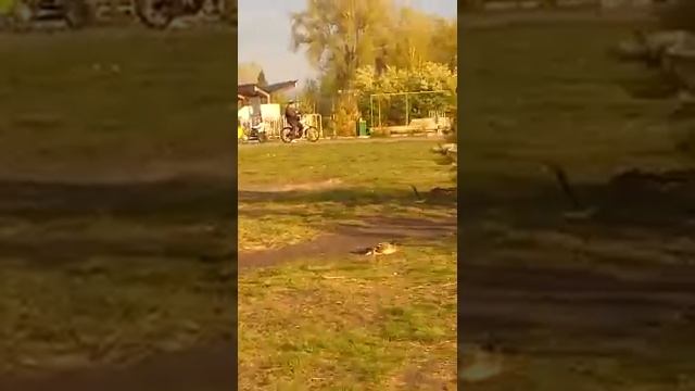 Случайная встреча с жителями о. Татышева на Енисее