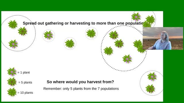 Wild-Harvesting Native Seed on State and Federal Lands