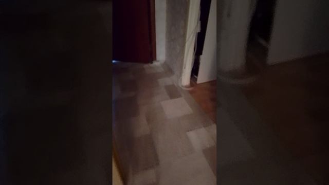 путешествие по квартире