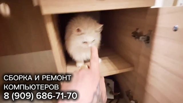 СБОРКА КОМПЬЮТЕРА ПОДОЛЬСК