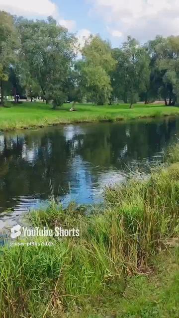 Финский парк, набережная р. Псковы часть2#Finnish Park, embankment of the Pskov River#sorts