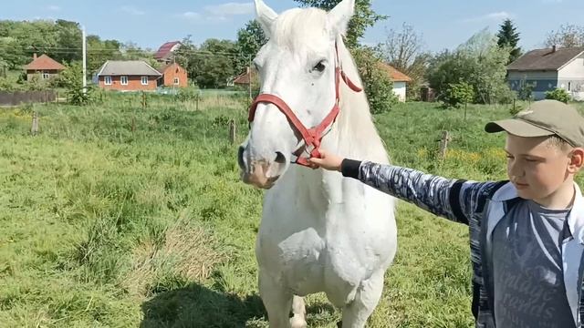 Новинка💣дві красуні 🥰парширонки💣🥰💣