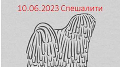 Россия 2023-1. 10.06.2023 Ринг спешалити. Сука юниор