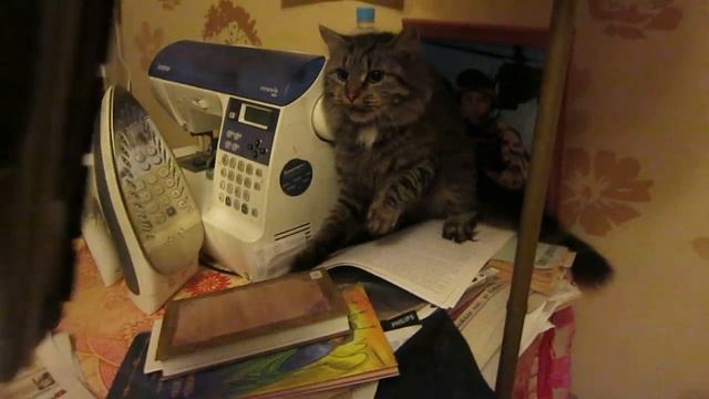 Пылесос смерти