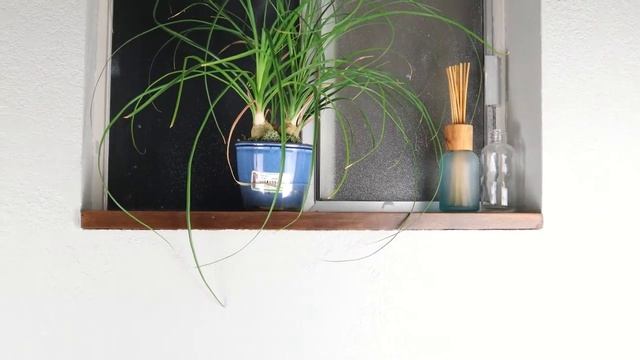 Small Bathroom Remodel - Tips and Tricks for Beginners