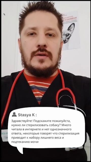 Нужно ли стерилизовать собаку?