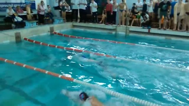 Pavel Pleshka. 100м - Брасс, 30.01.2016, Зимний Чемпионат Молдовы "Веселый Дельфин", г.Кишинев