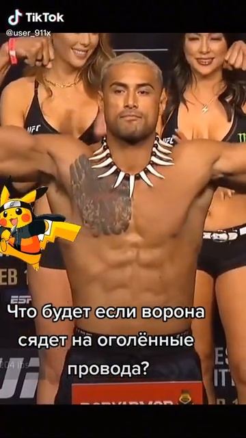 Что будет если ворона сядет на оголенные провода?
