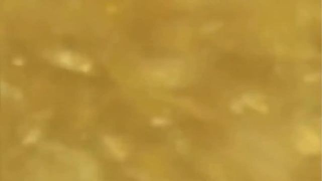 Bouquet d'Oro Polvere Illuminante per il Corpo