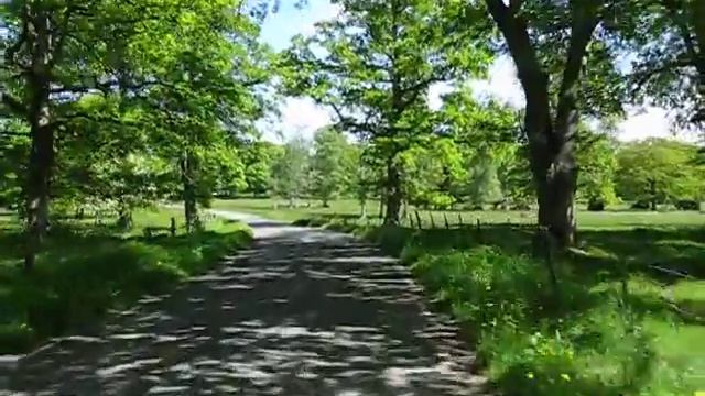 V Götaland 2010 part 18, Skara - Varnhem