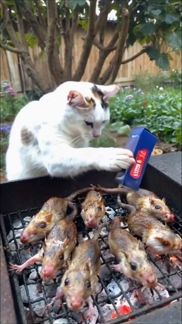 РотНаОборот.