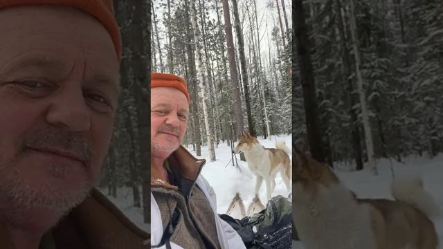 Откровения егеря