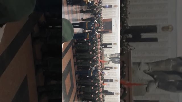Шмель дурачек
