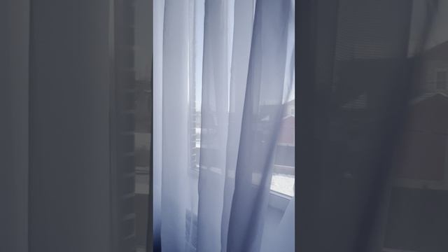 СНТ Дубок Аренда студии