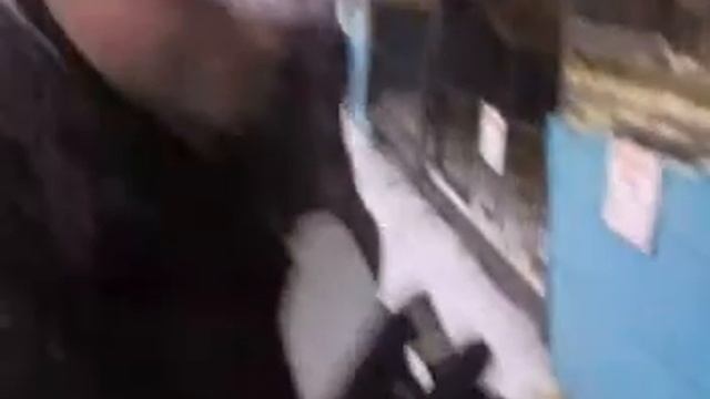 Наш милый зверинец