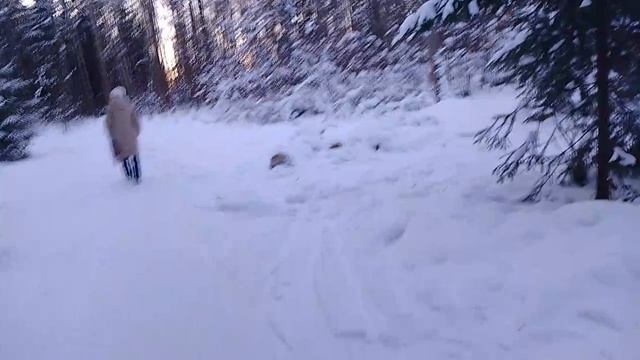 видео в Павловск