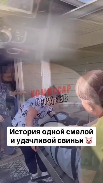 История про ухилянта, который смог выбраться из концлагеря "имени Зе" 🐽