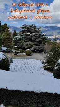 20 февраля 2025 г. Дворец мимикрирует под окружающую среду #ялта #ялта2025 #ливадия