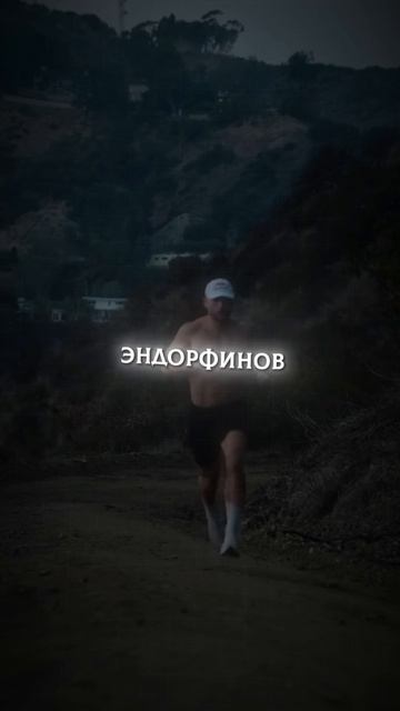 #спорт #дисциплина #мотивация #психология #мужскаядисциплина