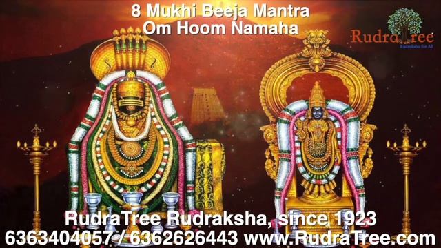 Overcome Obstacles: 8Mukhi Rudraksha & Hessonite Beeja mantra |Om Hum Namah: https://rudratree.com