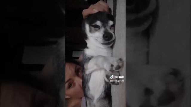 не меняйте ночной сон, на компьютер, либо телефон!