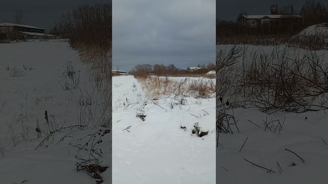 Жизнь в деревне.