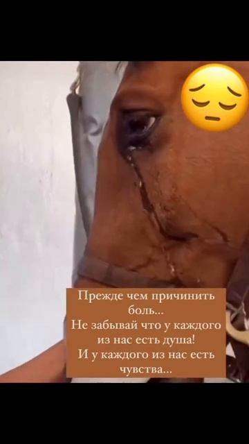 Прежде чем причинить боль.