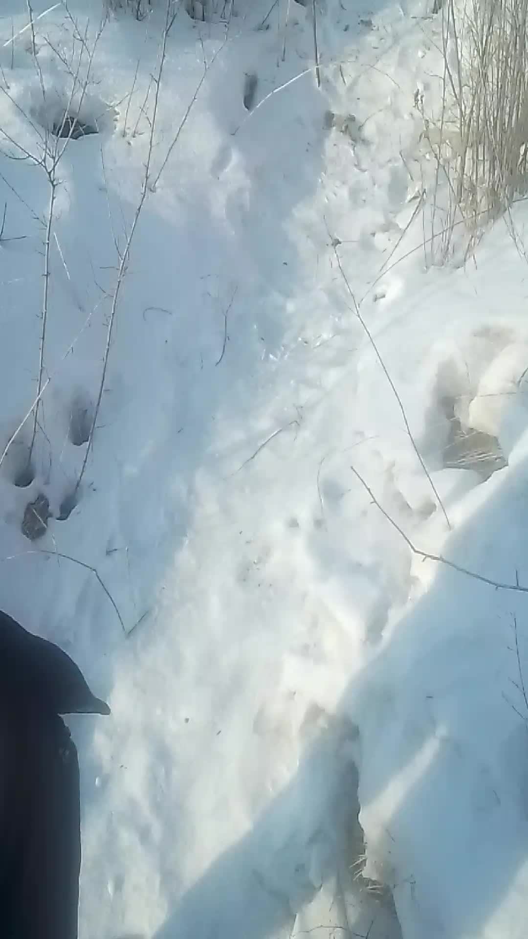 идём на картер