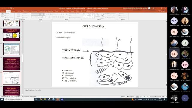CIRUGÍA II (FASE II) - HIDATIDOSIS PULMONAR