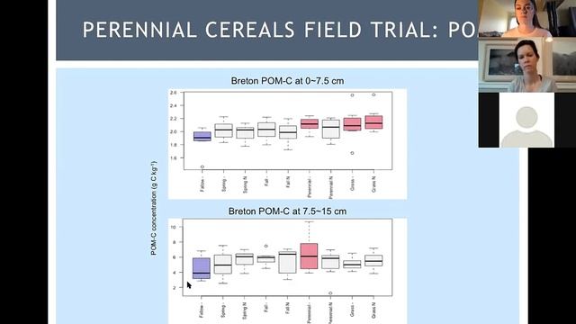 Perennial Grains Webinar