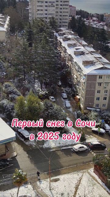 Первый снег в Сочи в 2025 году 🌴🌲☀️