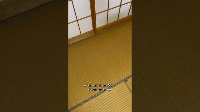 Пытаюсь отмыть японский дом