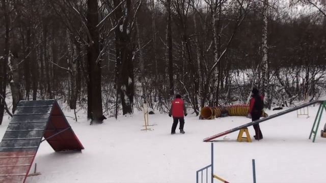 Туманова Кубок 22 01 12