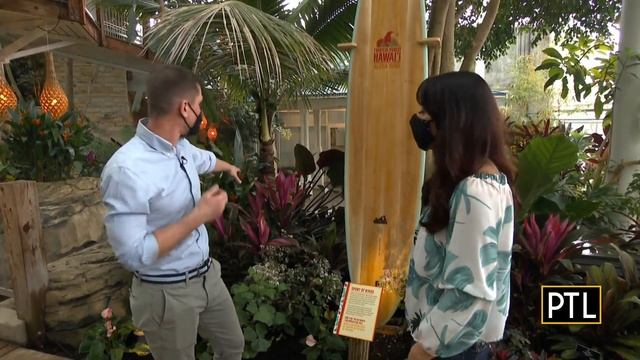 Phipps Newest Exhibit Is A Hawaiian Escape