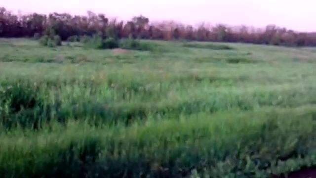 Поле Руси