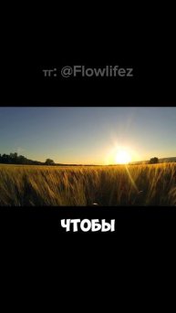 Проснись и свети: ради тех, кто ждёт твоего рассвета