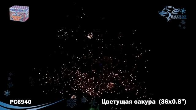 Цветущая сакура РС6940