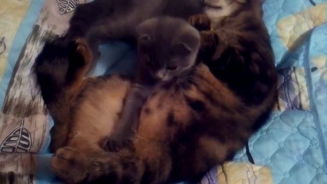 Они реально друзья! 😻