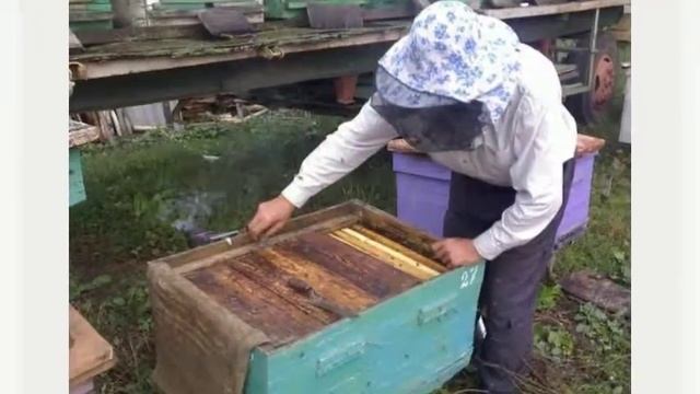 ПП Махно Олександр Сергійович  інвентар для пасіки Вознесенськ все для бджільництва