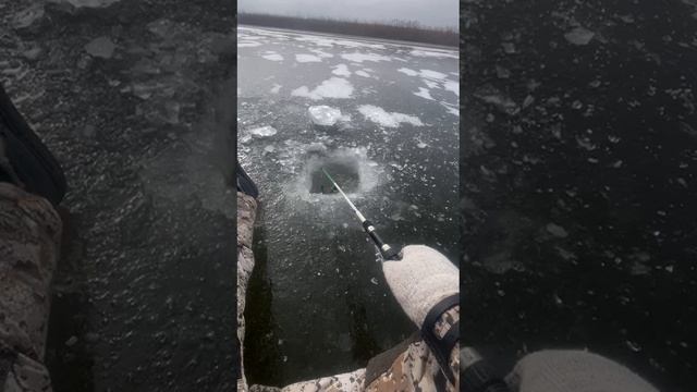 зимняя рыбалка