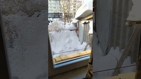 Снегири и синички ,завтракают.