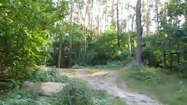 test_jump_1.mov