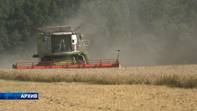 40 деклараций на зерно из ста не прошли проверку в воронежском Россельхознадзоре