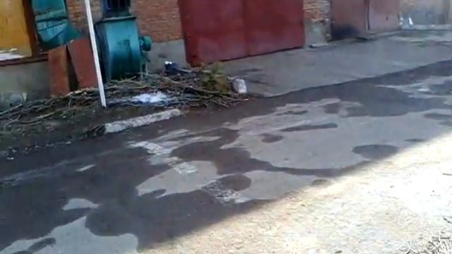 г.Сумы Украино-Польское высшее учебное заведение KRISMAR Жесть! Вот вам и Европа ч.1