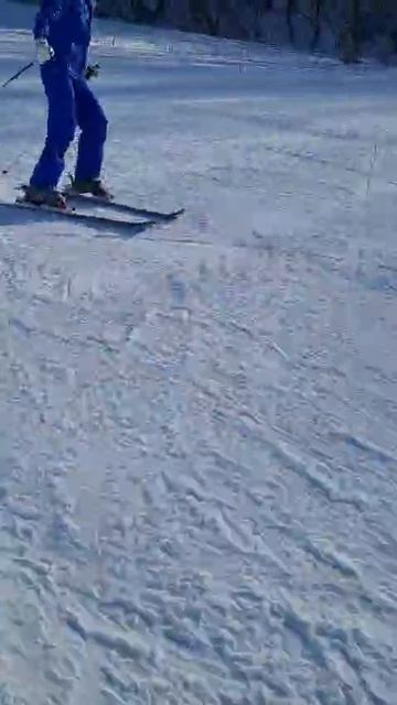VID-20250221-WA0015.mp4